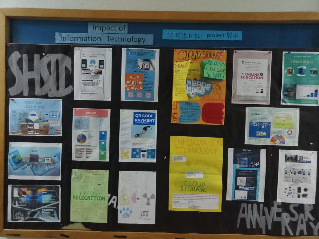 Impact of Information Technology Grade 10 Computer Project Showcase上海